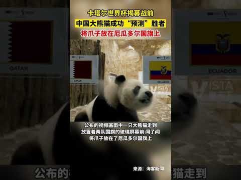 澳方报道中,国舰艇演习,夸大其词,九游会备用官网,九游会备用App,九游会备用体验,九游会备用中心,九游会备用入口